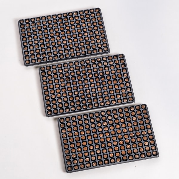 Carton de mottes à semis - 14 plateaux - 2100 unités