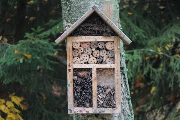 Hôtel à insectes, un bon moyen d'attirer les pollinisateurs dans votre jardin