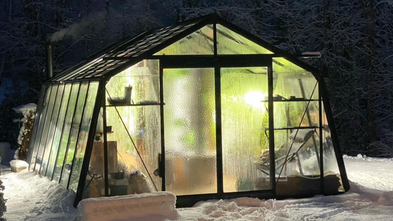 8 raisons d’investir dans une serre en hiver