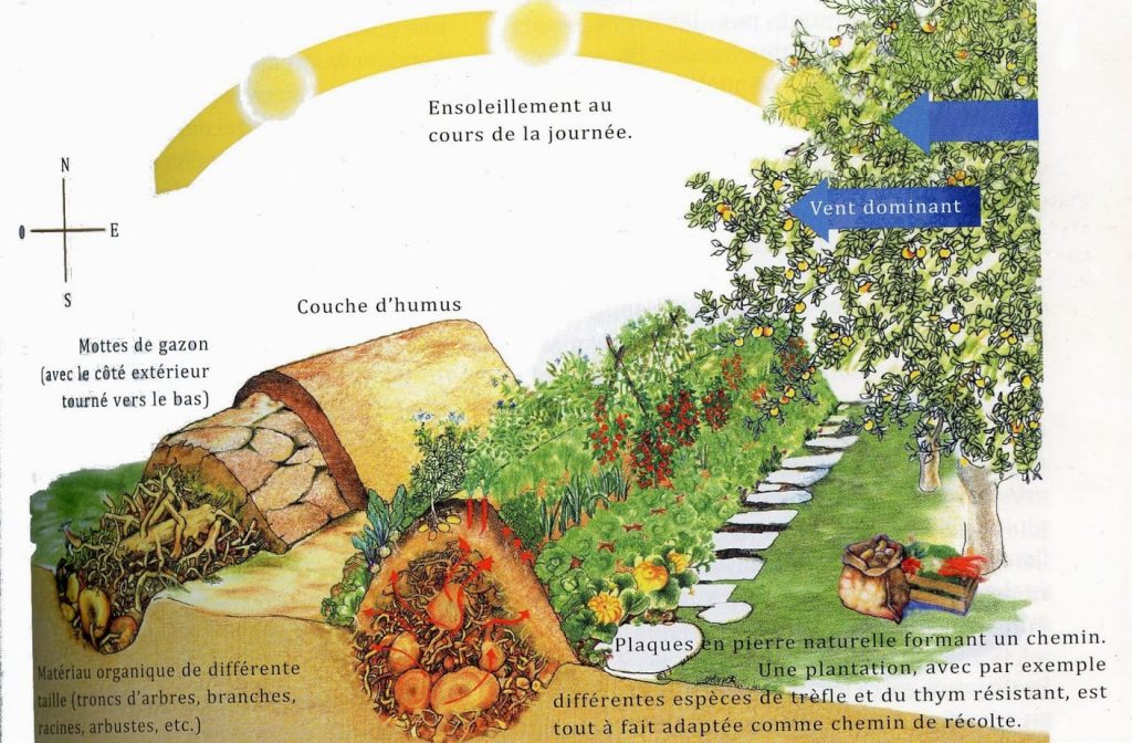 Enterrer du bois : une mauvaise idée de jardinier