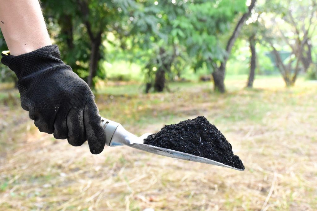 Biochar, une excellente solution pour le jardinier