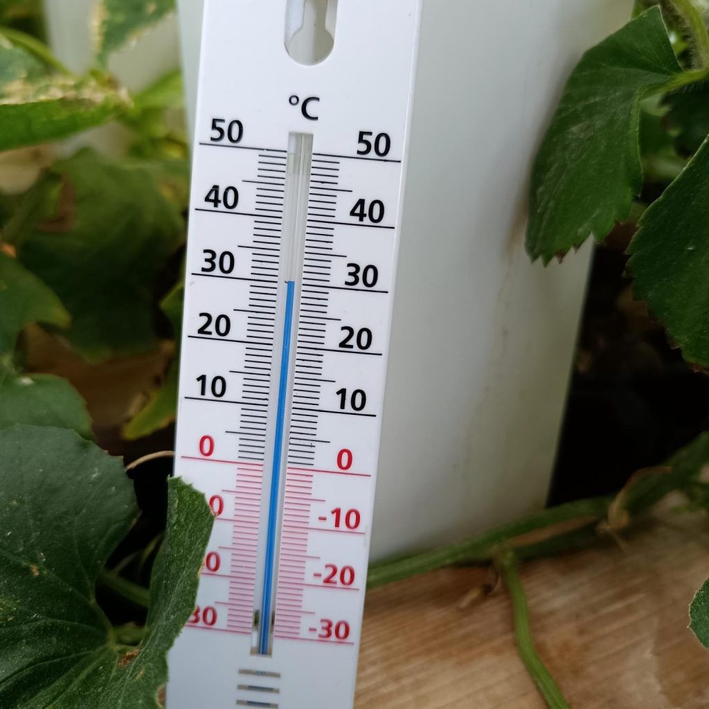 Cultiver sous serre en plein soleil : 30°C en intérieur
